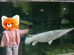 -太奥幻太奇海洋馆