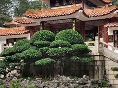 -深圳仙湖植物园