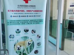 -欧奕国际动物医院