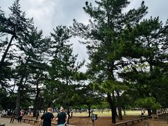 -奈良公园