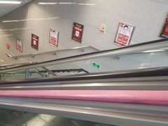 -大龙山(地铁站)