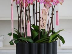 -F.Story 花和故事(新天地店)