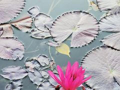 -陈李济中药博物馆