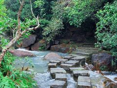 -广州白江湖森林公园