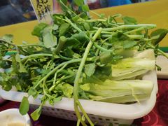 生菜-光明清汤羊(宝业路店)