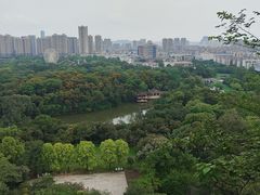 -雀儿山公园