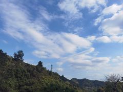 -阳台山森林公园