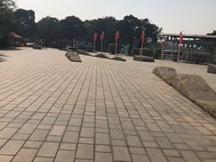 -海上田园