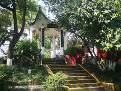 -泸州老窖景区