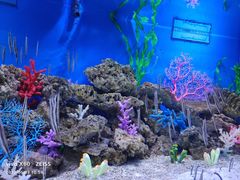 -成都浩海立方海洋公园