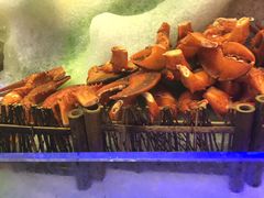 -小天鹅戴斯酒店鲸鲨百汇创作料理