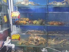 水产区-蚝专家(北滘店)