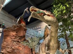 -湖南省地质博物馆