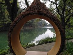 -缙云山景区