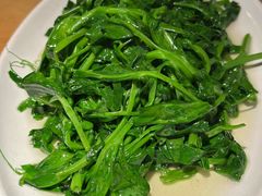 清炒豌豆尖-懒人盐府人家(安贞店)