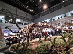 -自贡恐龙博物馆