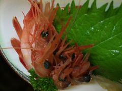 隐鮨寿司-隐鮨日料(北辰三角洲店)
