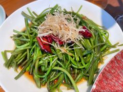 -菌自由丨野生菌火锅特色庭院餐厅(丽江古城店)