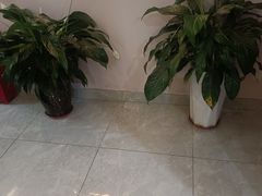 -怡心阁·水疗SPA(天府广场店)