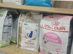 -艾贝尔宠物诊疗