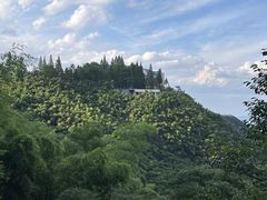 -莫干山风景区