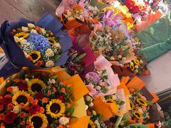 -花鸟鱼虫鲜花绿植市场(玉泉路店)