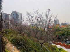 -小南山公园