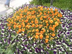 -慕百芙·定制生日蛋糕·DIY