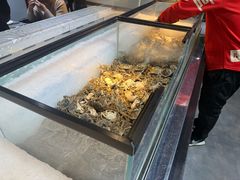 -圣罗巴海鲜烤肉自助(佳兆业店)