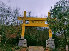 -南京老山国家森林公园