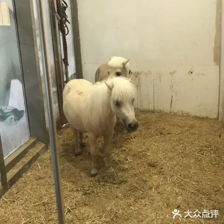 198元带宝宝逛室内动物园！