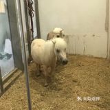 198元带宝宝逛室内动物园！