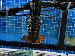 -碧海银沙海鲜餐厅(恒大海上威尼斯店)