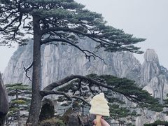-黄山风景区