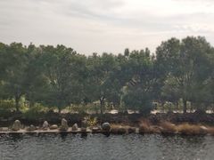 -九龙潭景区