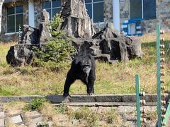 -哈尔滨北方森林动物园