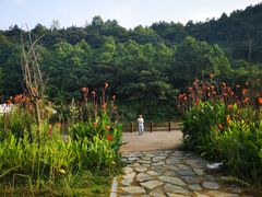 -天河潭旅游度假区