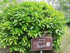 -白沙门生态公园