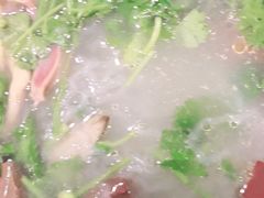 -小杨生煎(龙阳广场店)