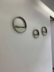 -agge蛋白医美