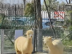 -临沂动植物园