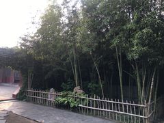 -王家大院