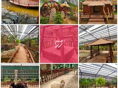 -呀路古热带植物园