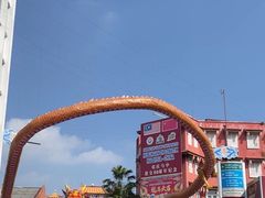 -马六甲鸡场街