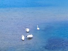 -赛里木湖风景名胜区