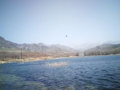 -新疆天山野生动物园