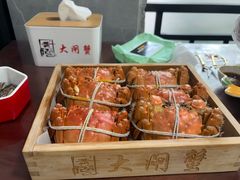 螃蟹-黄记大闸蟹专卖店·活蟹·醉蟹