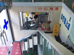 -甄爱宠物医院(疏影路店)