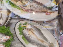-老妈厨房团圆饺子东北菜(北环路店)