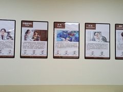 -美联众合动物医院·24h转诊中心